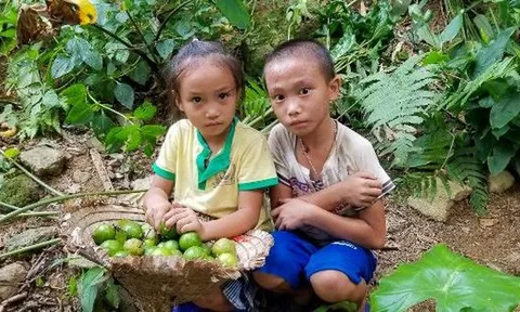Chuyện cổ tích cho hai bé 'mồ côi' ở Ngòi A